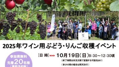2025年ワイン用ぶどう・りんご収穫イベント開催します！