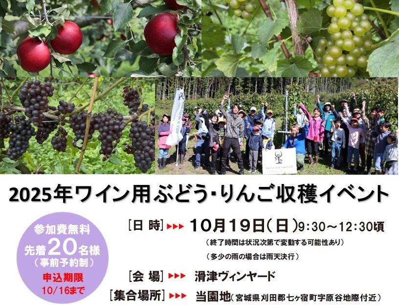 2025年ワイン用ぶどう・りんご収穫イベント開催します！