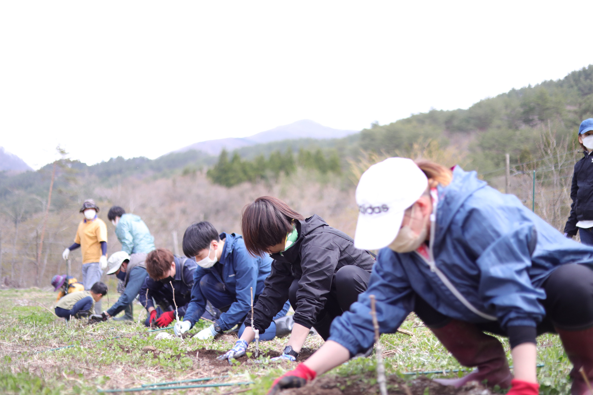 2023年ワイン用ぶどう苗定植イベント開催（ボランティア募集）について