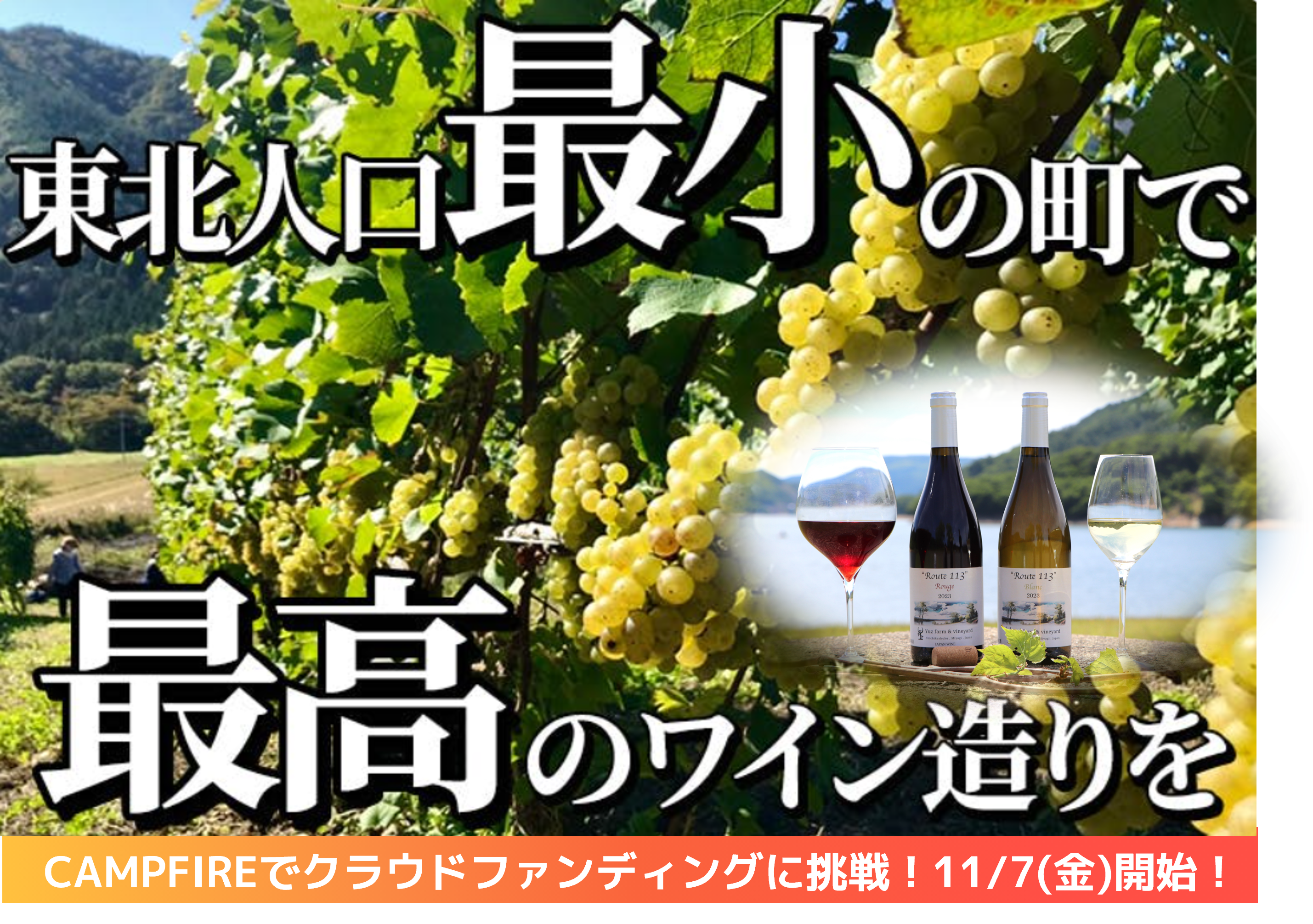 “創り上げた畑から、世界に向かう⾼品質なワイン造りへ” クラウドファンディング始まりました